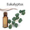 Aróma olej Eukalyptus