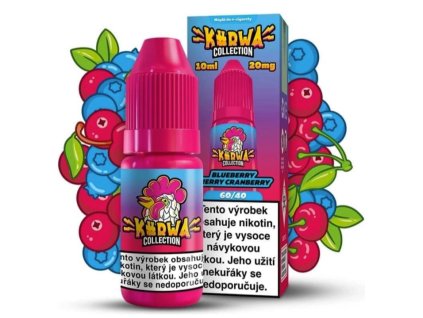 Snímek obrazovky 2026 02 09 135106