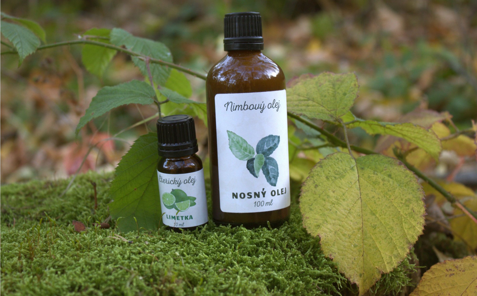 Ako zvládnuť jesennú melanchóliu🌦️