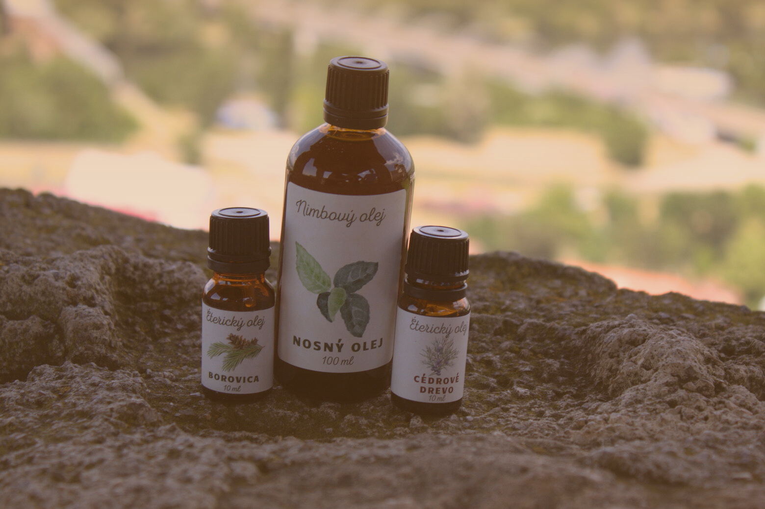 🍂 Jeseň prichádza – posilnite svoju imunitu prírodnou cestou