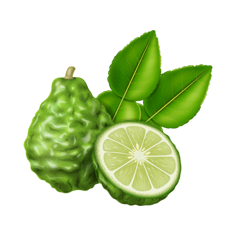 Plod bergamotu