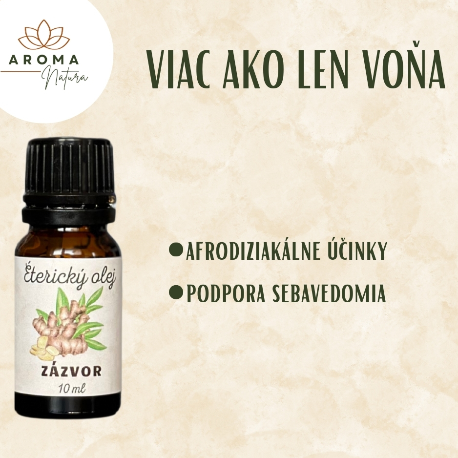 Zazvor účinky