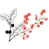 Bobule