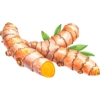 kurkuma