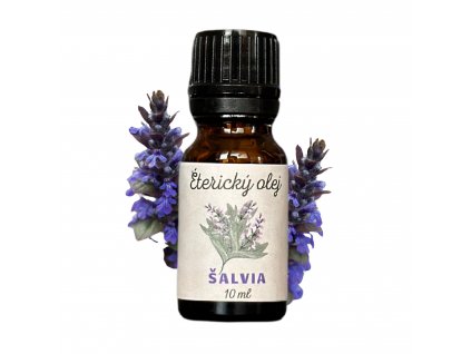Salvia
