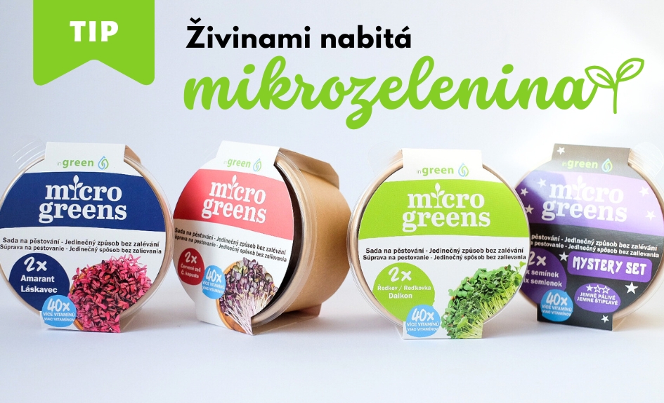 Žádná zahrada? Žádný problém! Sklizeň rychle a snadno