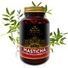 masticha p1