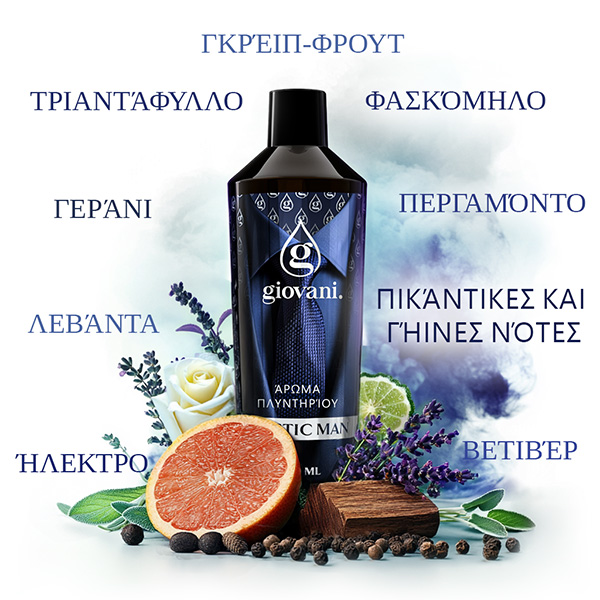 Συστατικά του αρώματος MYSTIC MAN