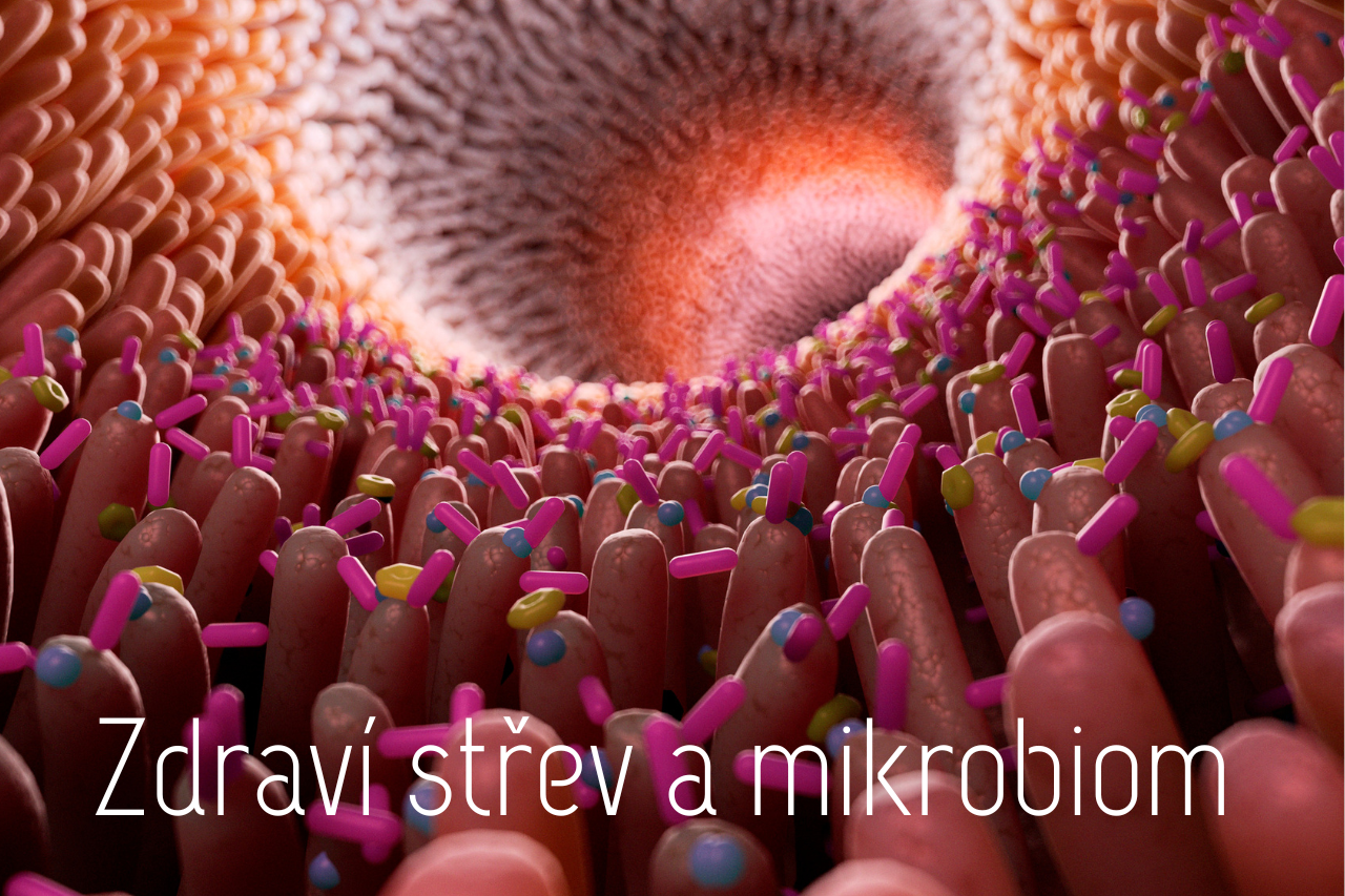 Zdraví střev a mikrobiom