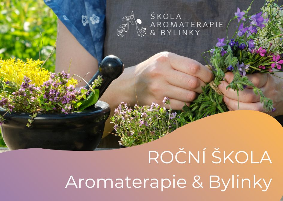 Roční zážitková Škola Aromaterapie & Bylinky