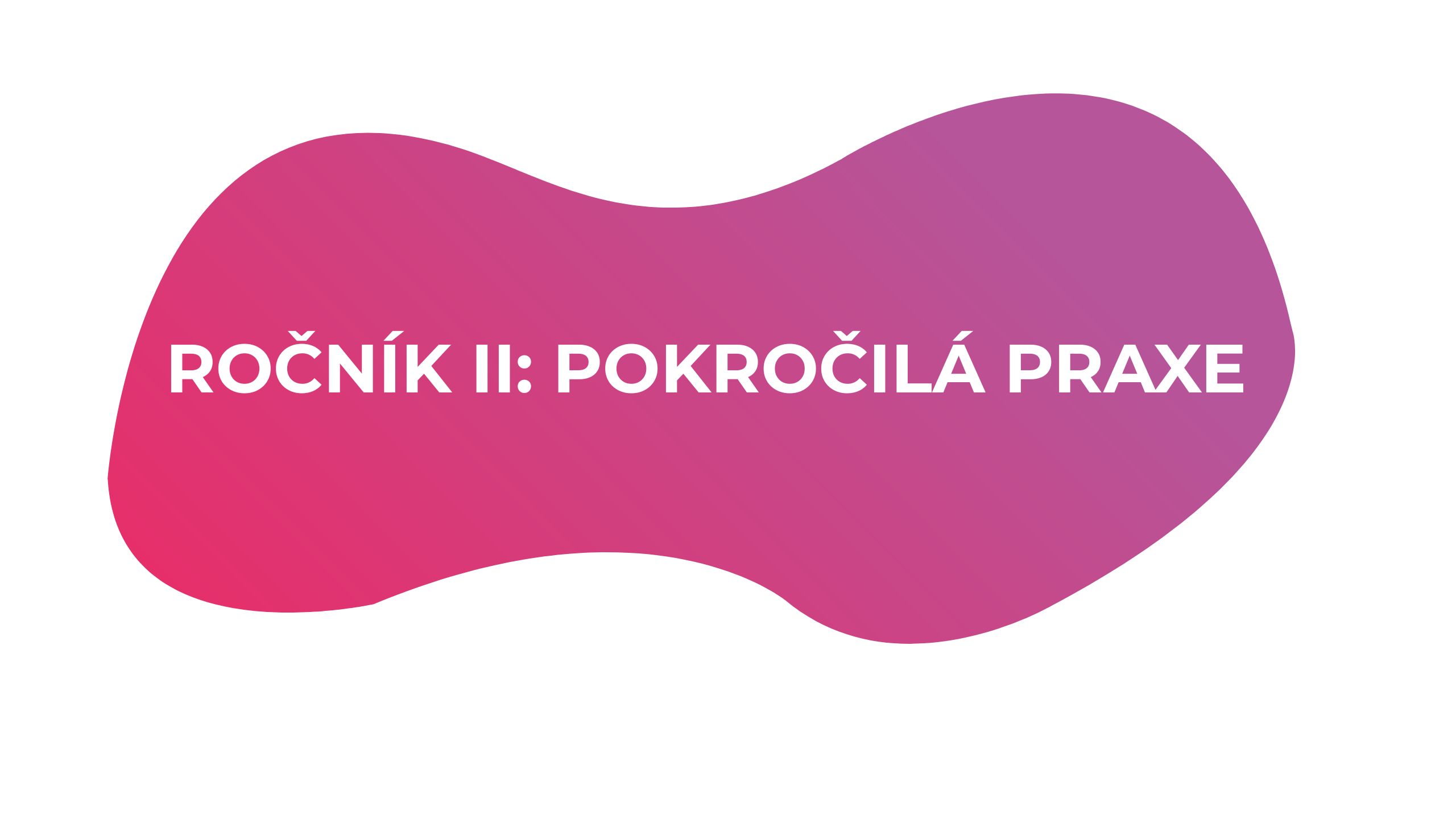 Roční Škola Aromaterapie & Bylinky pro pokročilé