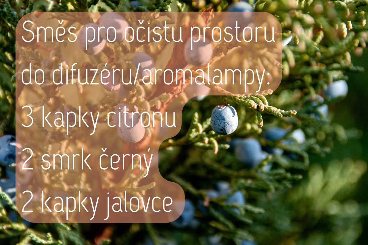 očista vzduchu s aromaterapií