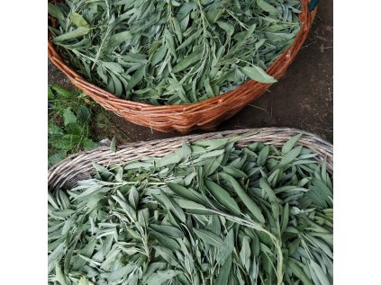 1634243057EEO0103 03