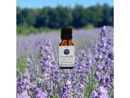 Melissa lilac pozadí