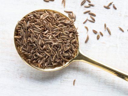 Bez názvu (Prezentace (43))