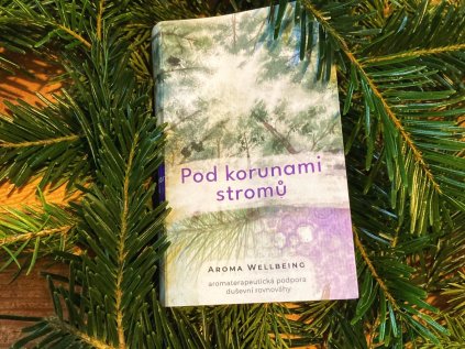 568cc400 534a 4886 8ff4 ca6330e53075