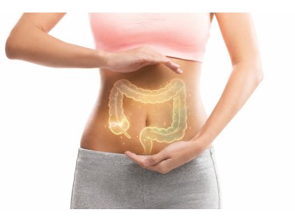 ChatGPT Image 19. 2. 2026 20 02 07