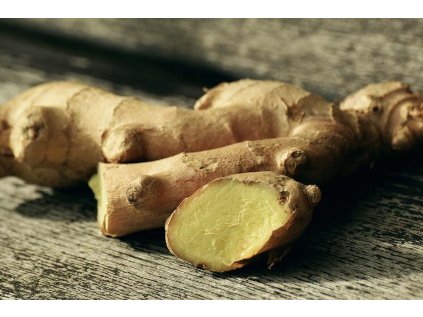 zazvor essentia nobilis