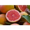 grapefruit ruzovy essentia nobilis