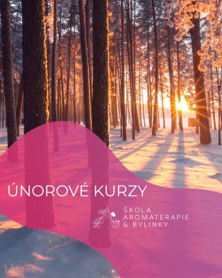Co nás čeká v únoru? 😊 🌟Večerní aromabodyterapie - Laskavost 3. 2. 2026...