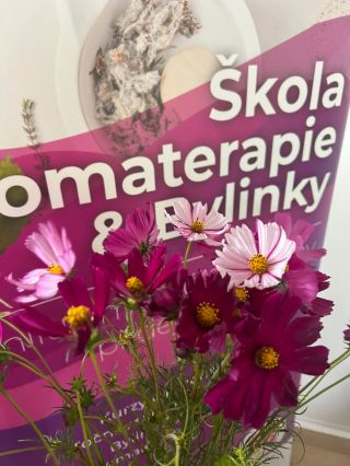 🌸Víte, že květiny na fotce z kurzu se jmenují krásenky? Náhoda? Nemyslím si :) Protože včerejší workshop Pleťové oleje byl...
