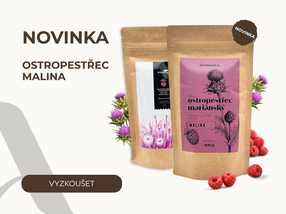 Novinka - ostropestřec malina