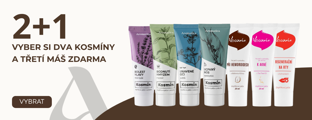 Kosmín 2+1