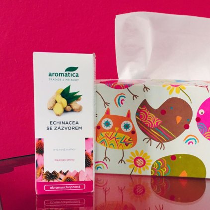 Echinacea se zázvorem