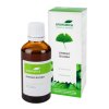 Ginkgo biloba