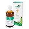 Sibiřský ženšen – Eleuterokok 50 ml