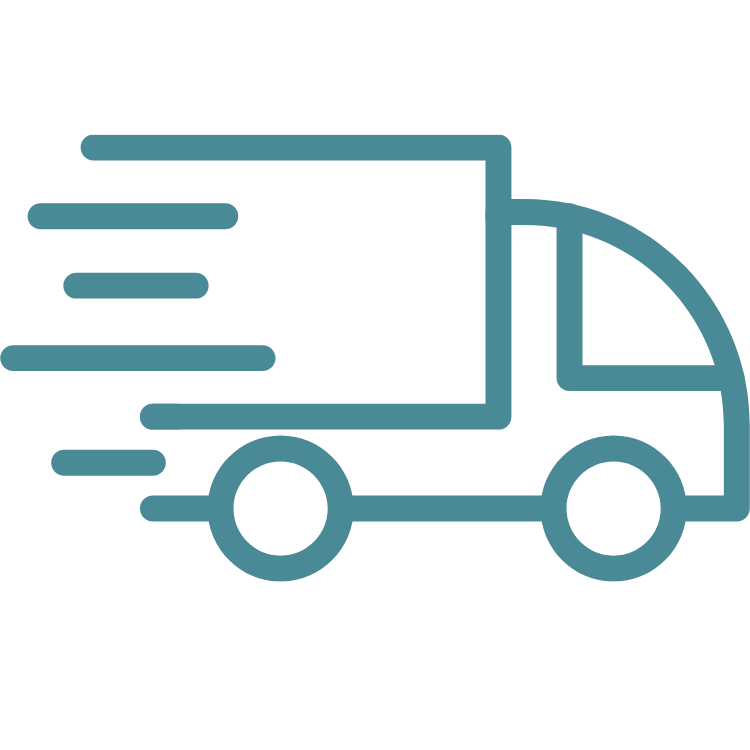 Ingyenes szállítás