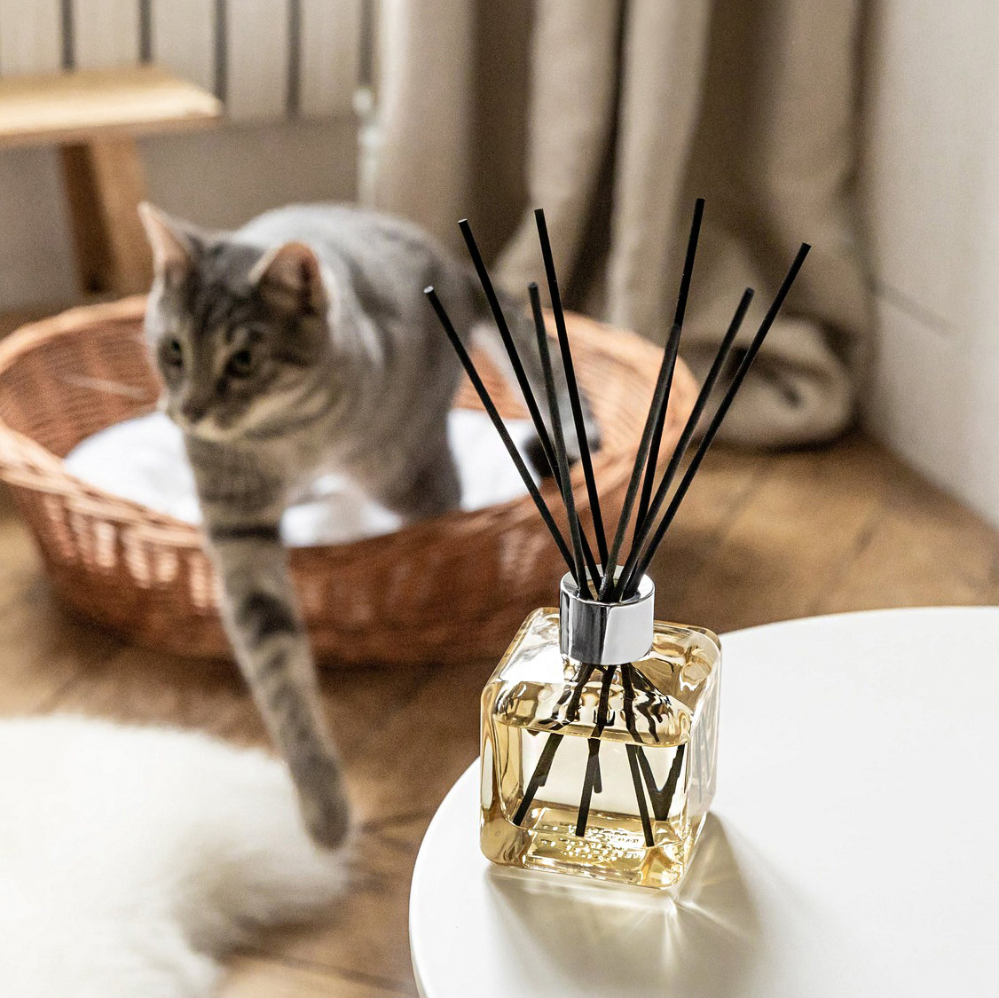 maison-berger-paris.mazlicci