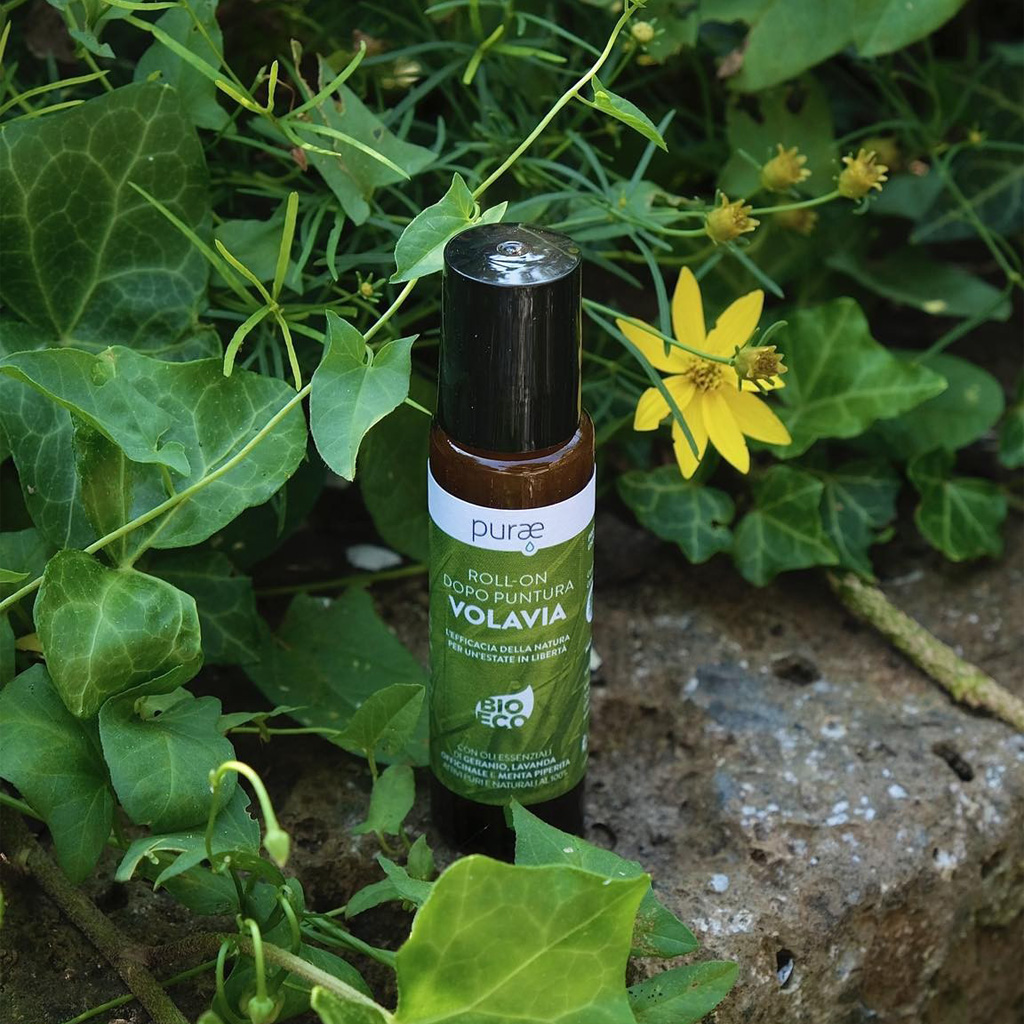 purae-VOV2005-roll-on-komari