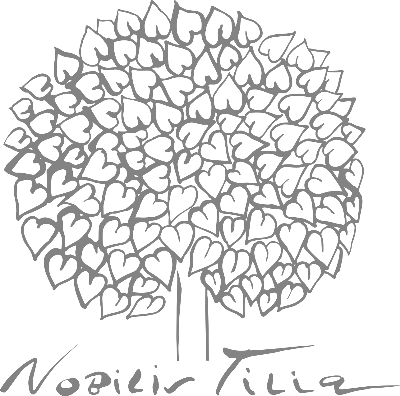 Nobilis Tilia