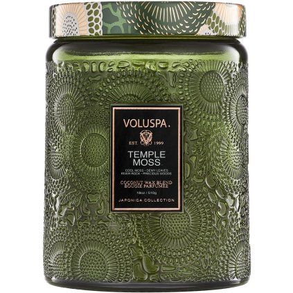 TempleMoss LargeJar 72335 2023 01 A WEB