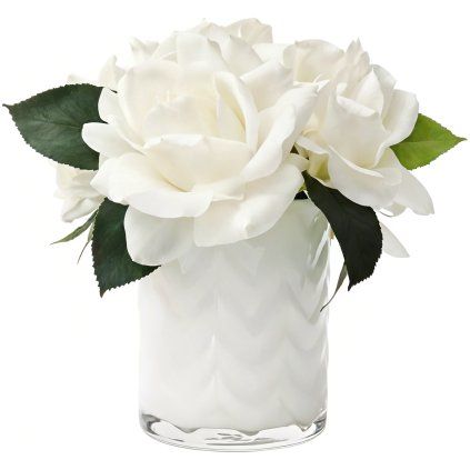 cote noire kytica bile ruze