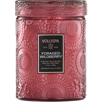 ForagedWildberry SmallJar 73539 2024 01 A WEB