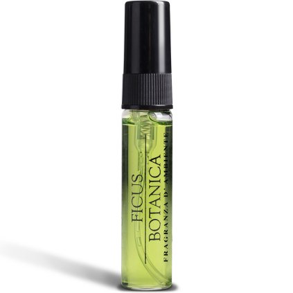 ficus botanica vzorek