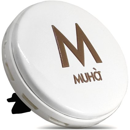 vune do auta acqua e sale 1