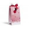 dárková taška se stuhou Snow Globe Wonderland, 10 x 15 x 26 cm