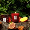 voluspa goji tarocco orange svicka classic candle 2