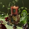 voluspa forbidden fig svicka classic candle 3