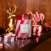 voluspa crushed candy cane mini tin 2