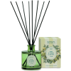 nasoterapia difuzer lime foglie di menta