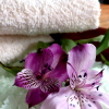 spring air cotton vune