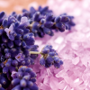 spring air lavender vune