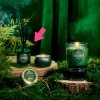 Bewitching Banyan Forest 90006 Diffuser 100 ml 4