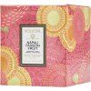NapaliPassionFruit ClassicCandle 73443 2026 04 A WEB