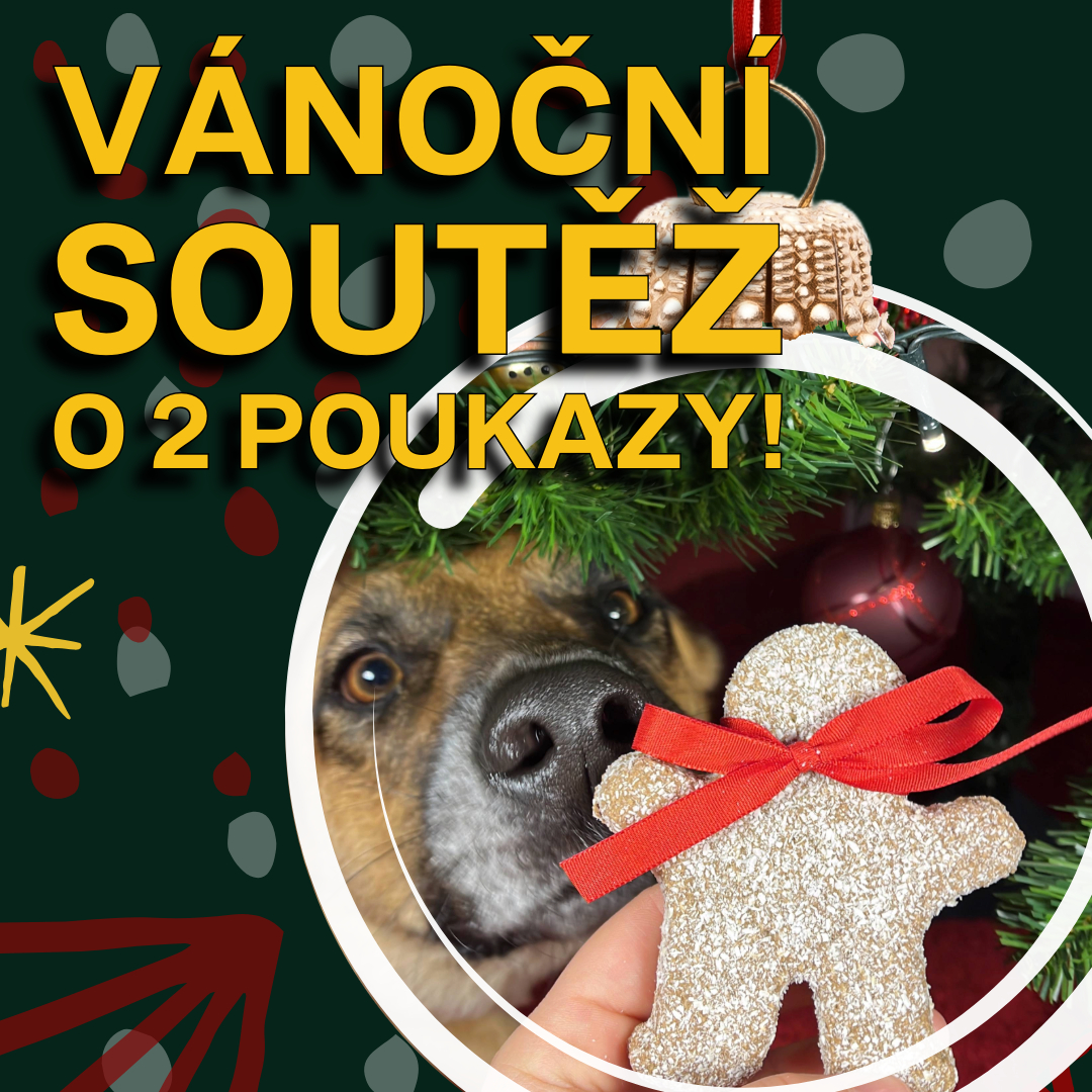 Vánoční soutěž