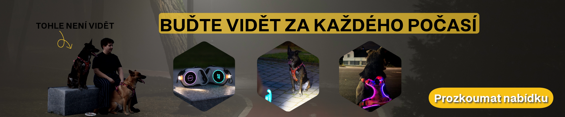 Svítící postroj pro psy je vidět za každého počasí